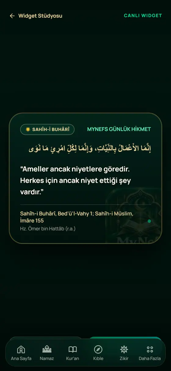 عنصر الشاشة الرئيسية ekranı