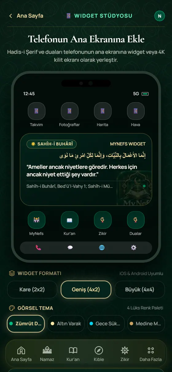 استوديو العناصر ekranı