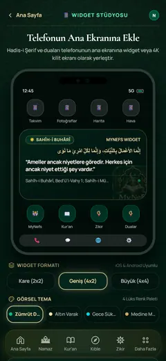 استوديو العناصر